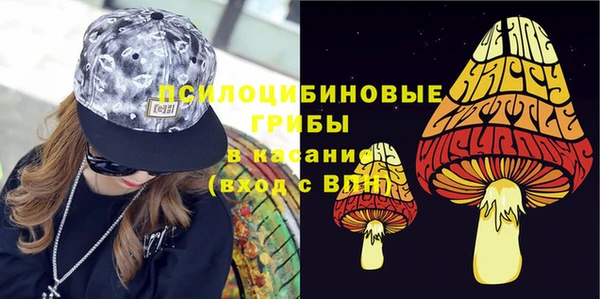 тгк Богородицк