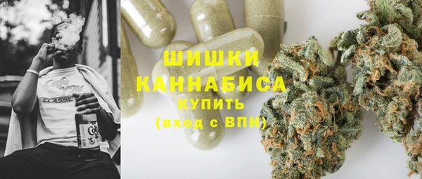 тгк Богородск