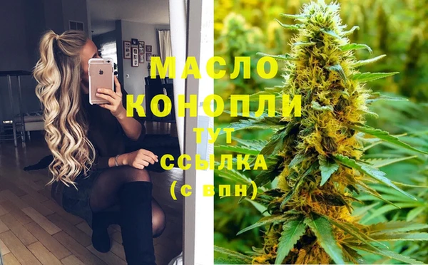 тгк Богородицк