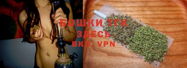 тгк Богородицк