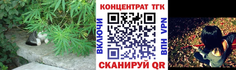 Купить закладки  Будённовск  Дистиллят ТГК концентрат 