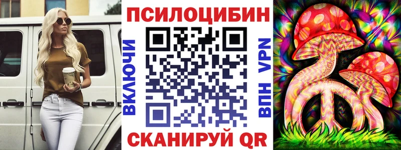 Купить закладки  Будённовск  Галлюциногенные грибы мухоморы 