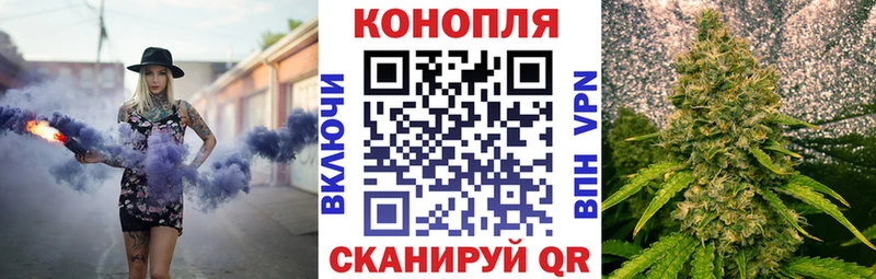 Купить  Будённовск  Бошки Шишки ГИДРОПОН 